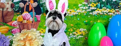 Dog in an Easter outfit