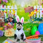 Easter Dog