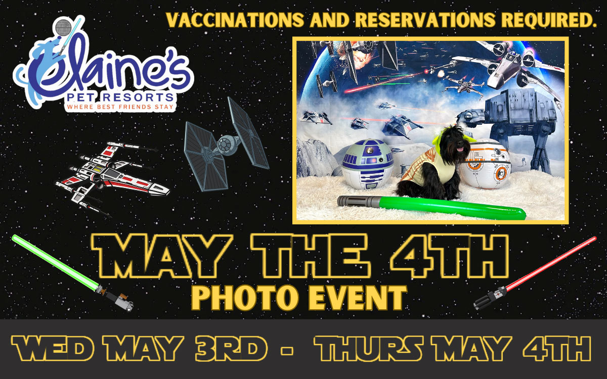 May the 4th Photo Event