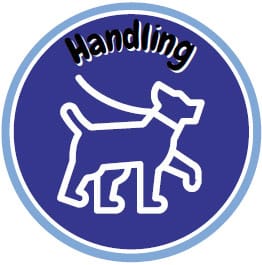 Handling