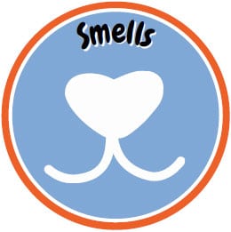 Smells