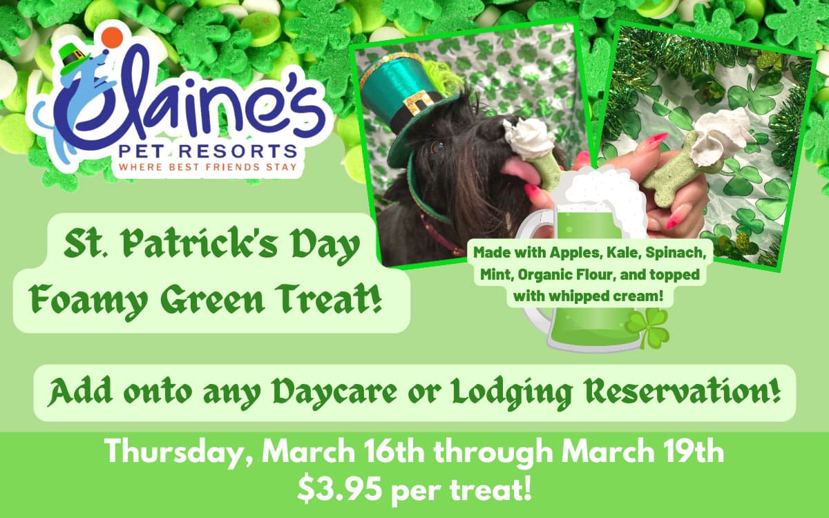St. Patrick’s Day Foamy Green Treat