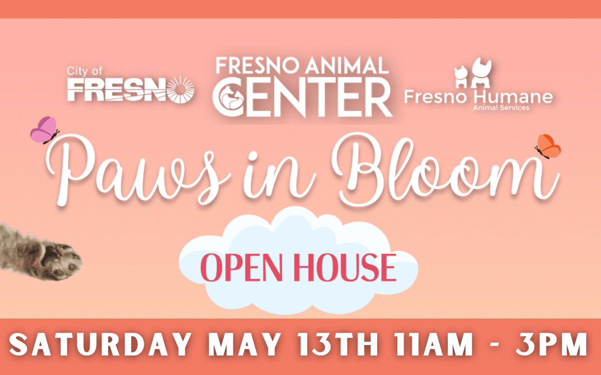 "Paws in Bloom" Open House!