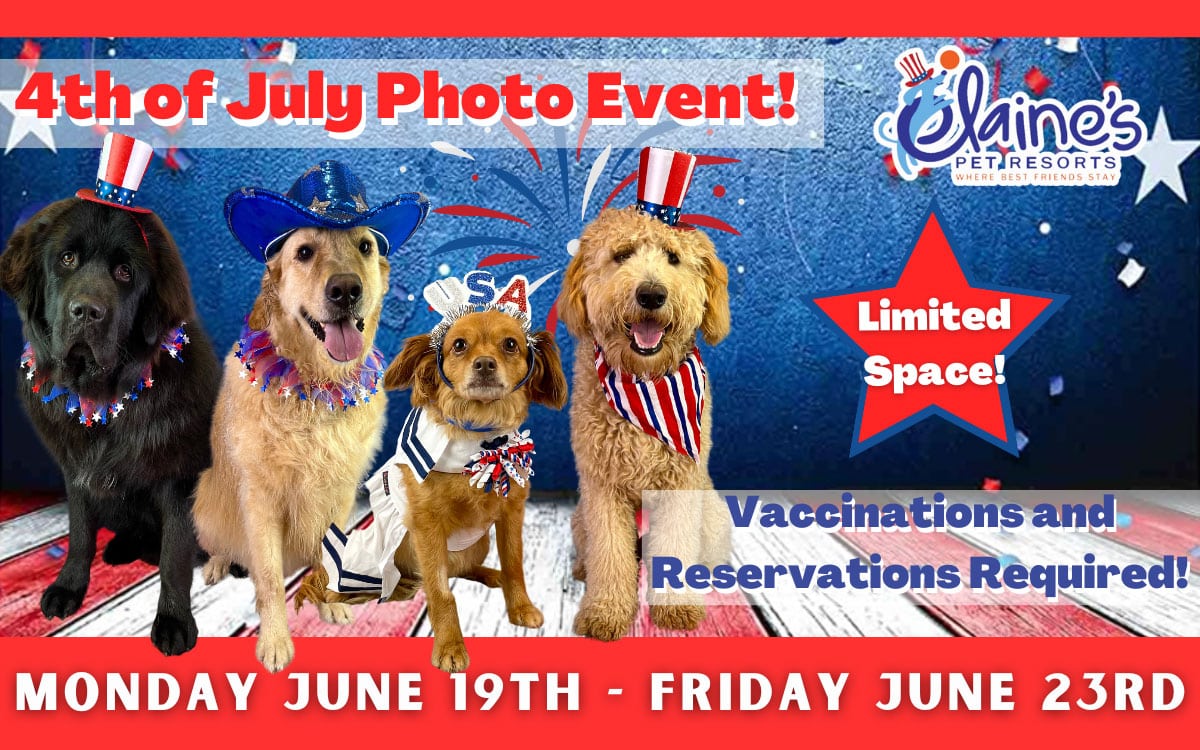 4th of July Photo Event!