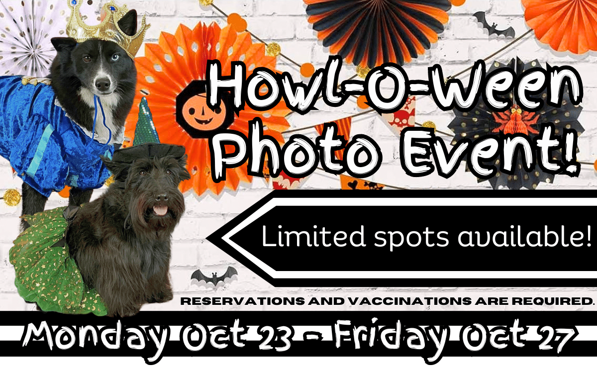 Howl-O-Ween Photo Event