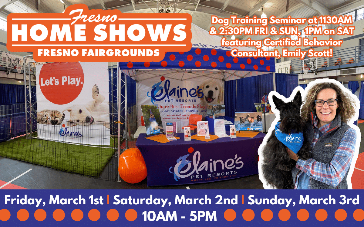 2024 Spring Fresno Home & Garden Show