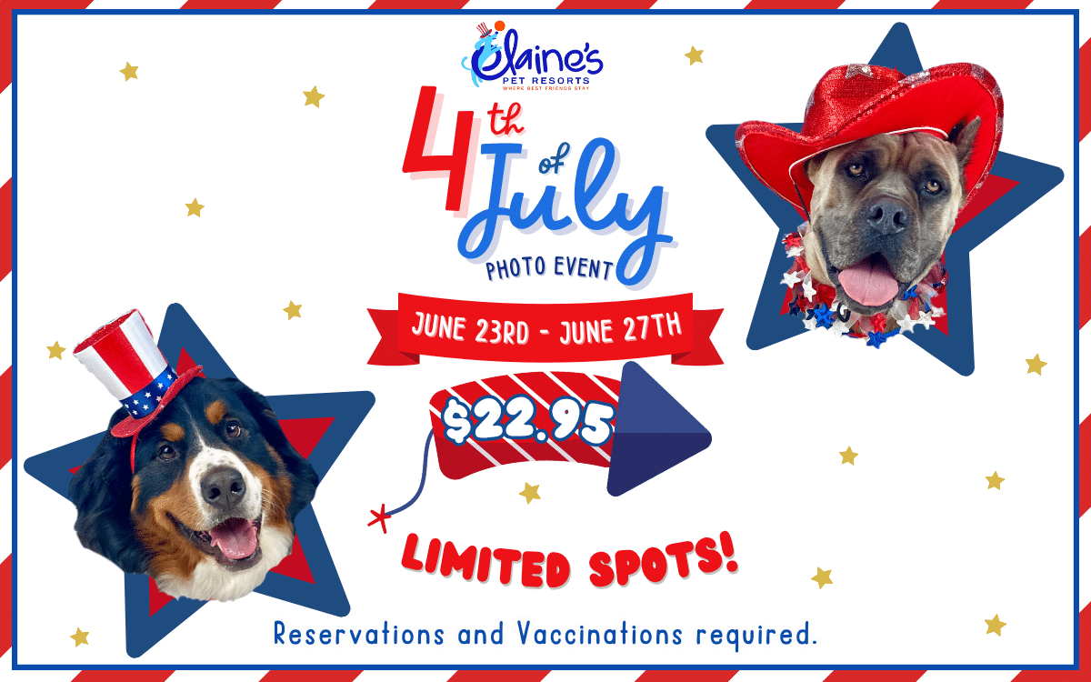 4th of July Photo Event