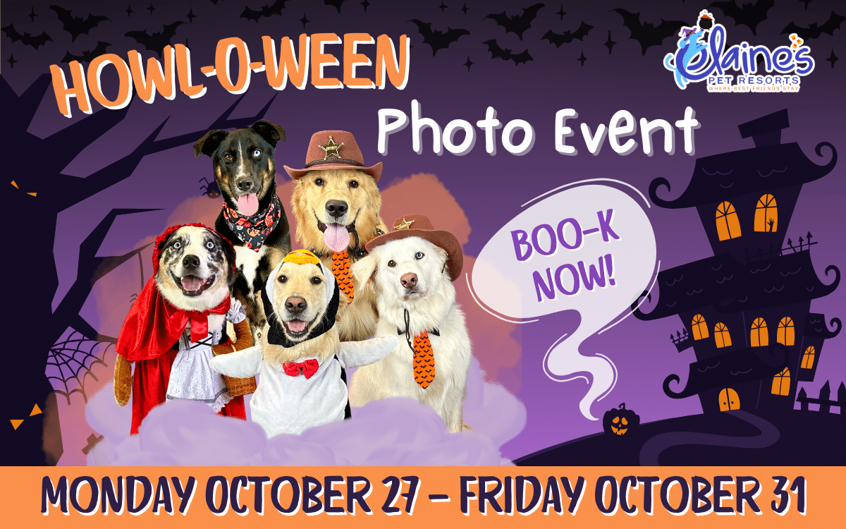 Howl-O-Ween Photo Event
