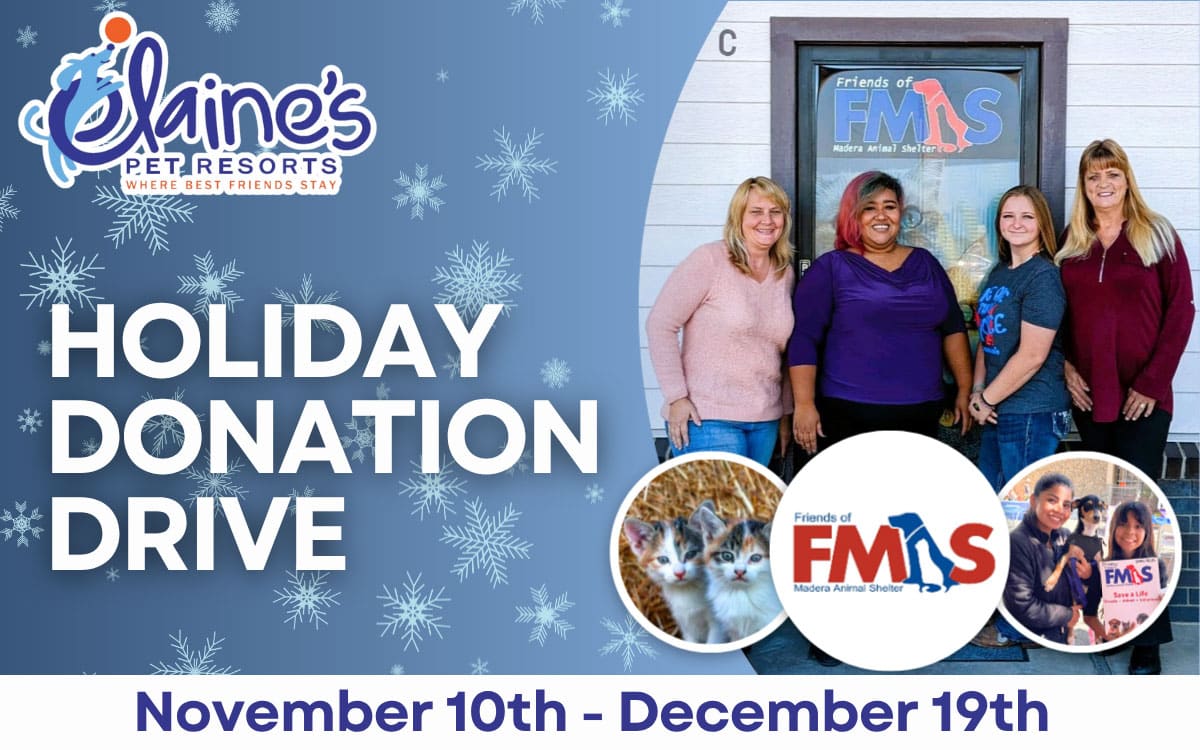 Holiday Donation Drive